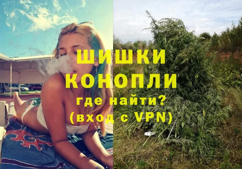 Марихуана SATIVA & INDICA  купить закладку  Канаш 